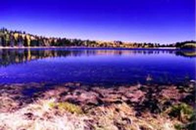 Lot 63 A & B  LAKEFRONT
